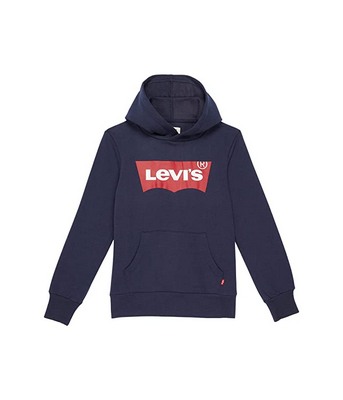 Gray Levi's Kids Batwing Pullover Hoodie