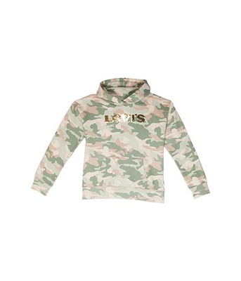 Green Levi's Kids Graphic Pullover Hoodie