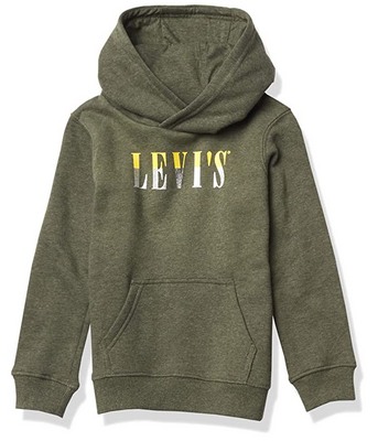 Green Levi's Levi's Boys' Graphic Pullover Hoodie