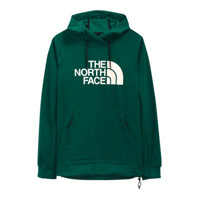 The North Face Tekno Logo Mens Hoodie 2022