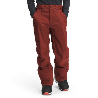 The North Face Freedom Mens Ski Pants 2022